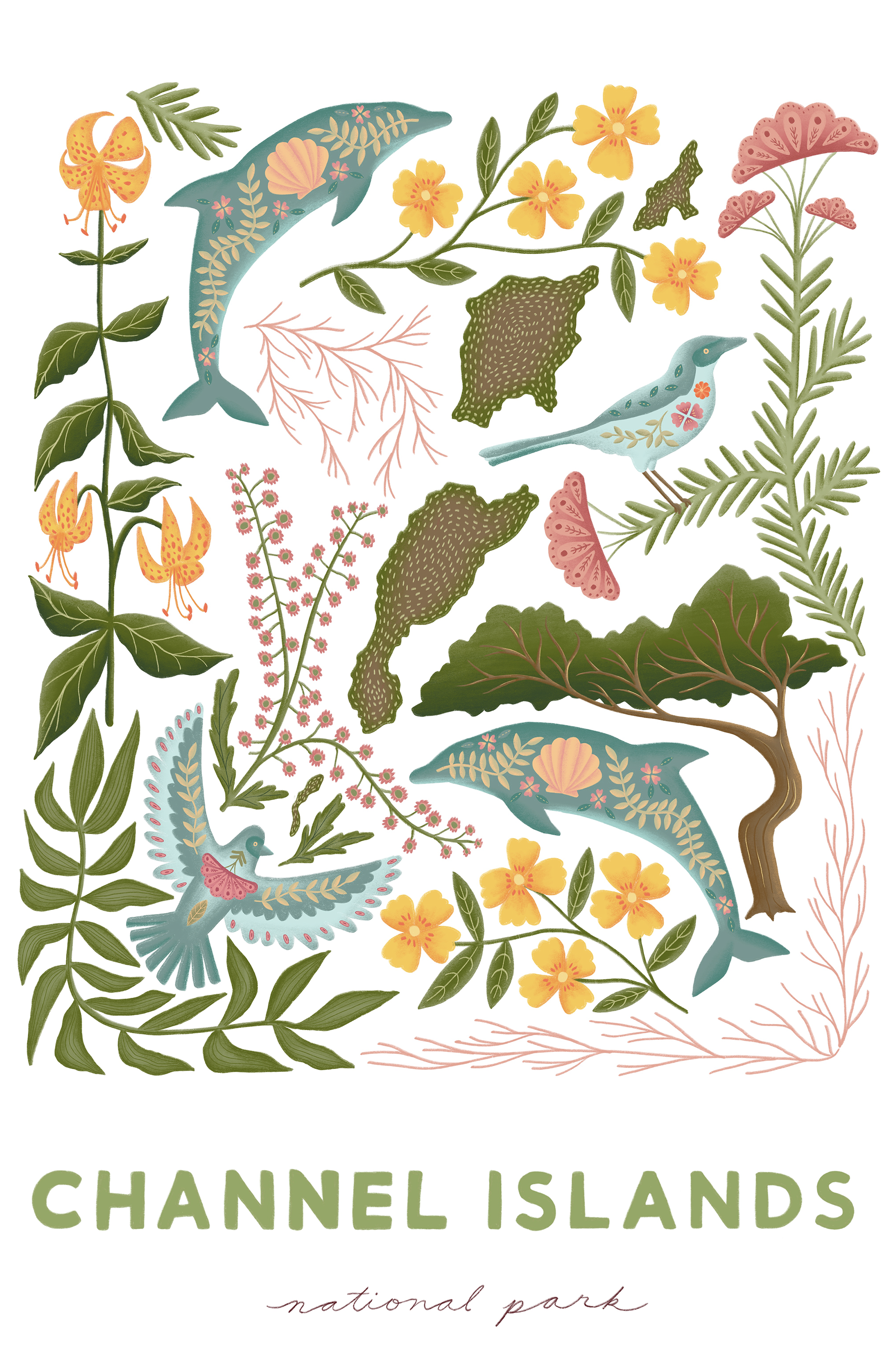 CHANNEL ISLANDS NATIONAL PARK PRINT