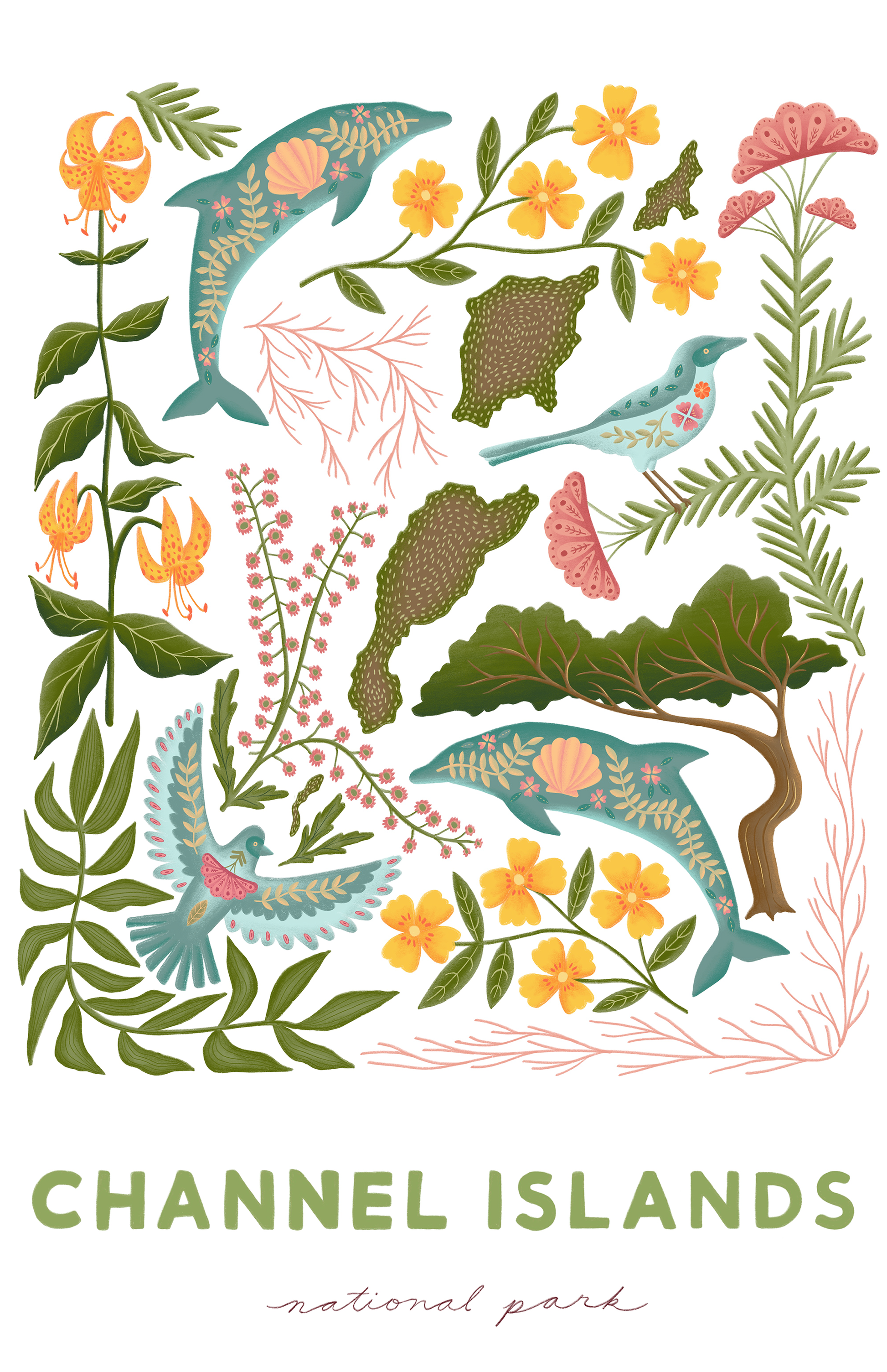 CHANNEL ISLANDS NATIONAL PARK PRINT