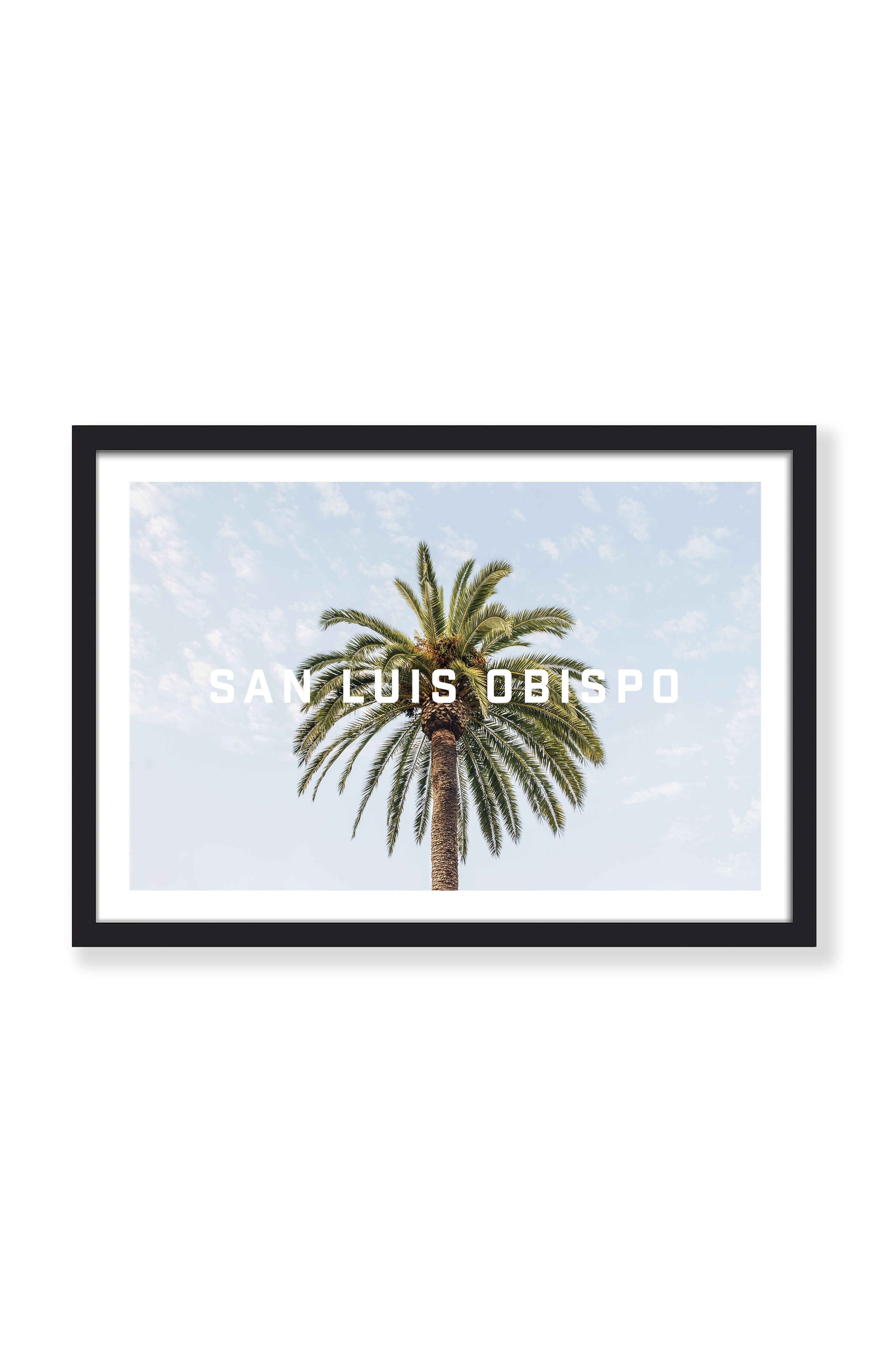 SAN LUIS OBISPO PALM TREE PRINT