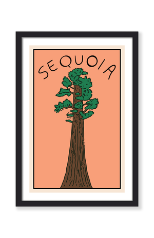 SUNSET IN THE SEQUOIAS PRINT