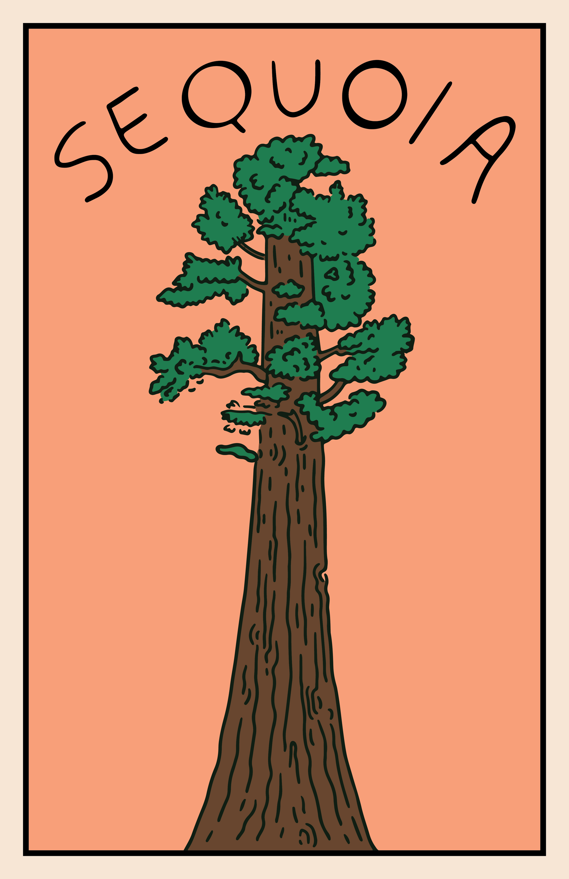 SUNSET IN THE SEQUOIAS PRINT