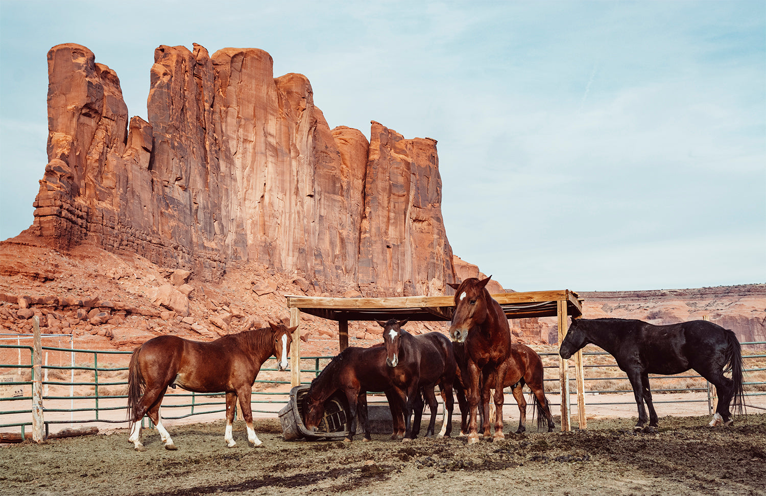 HORSES OF THE WILD WEST PRINT