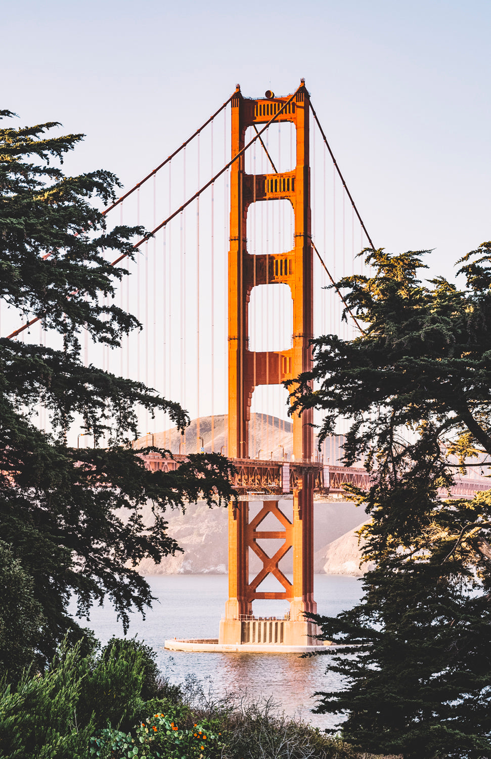 GOLDEN GATE BRIDGE THROUGH THE TREES PRINT