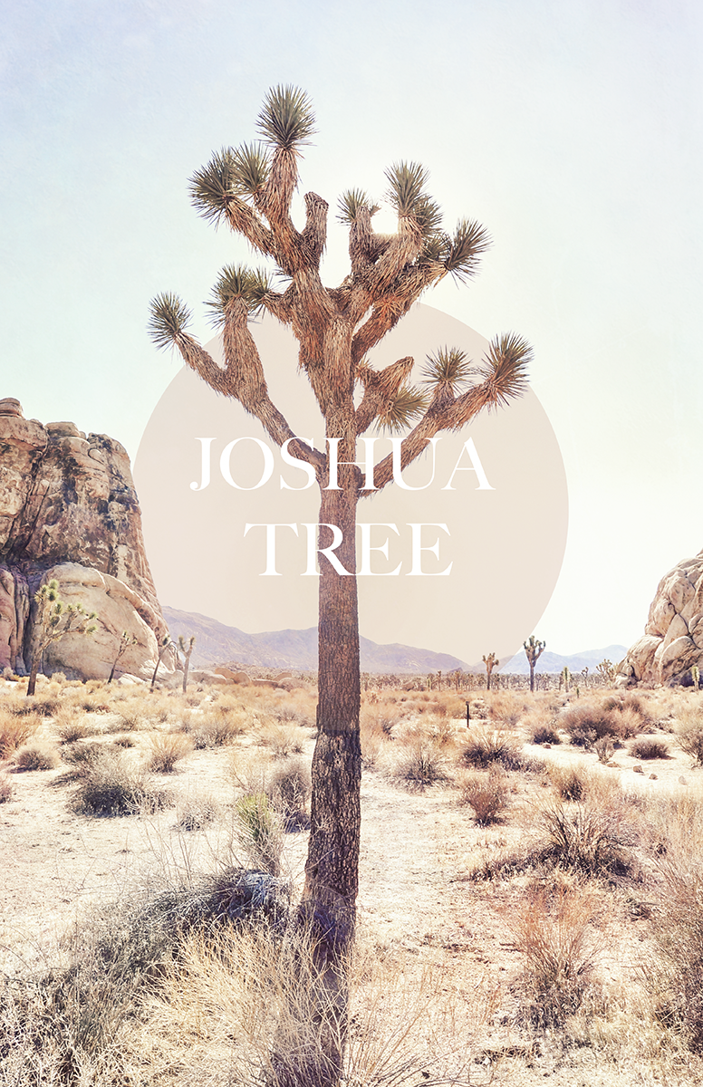 JOSHUA TREE PRINT