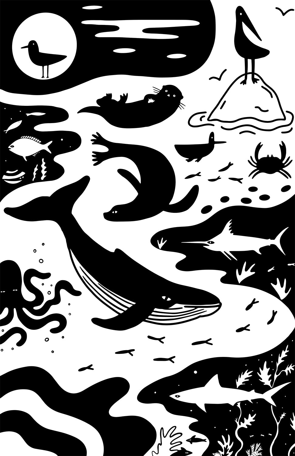 CALIFORNIA SEA LIFE PRINT