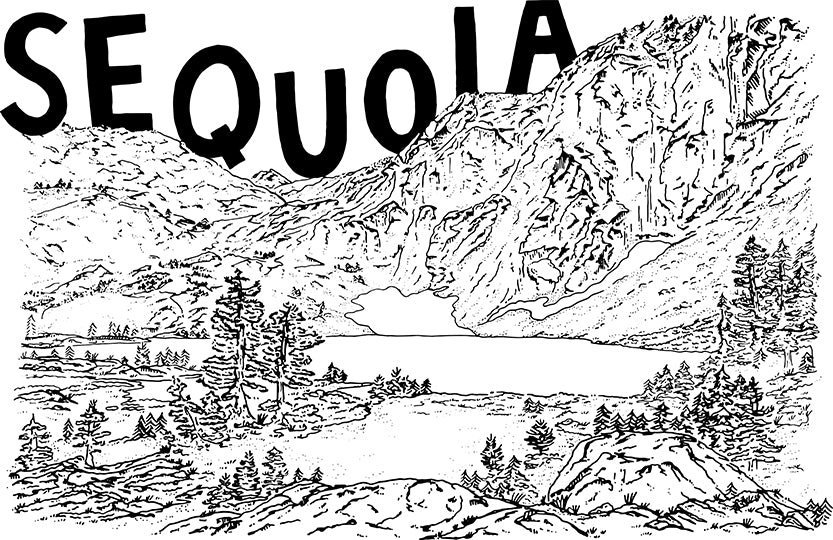 SEQUOIA PRINT